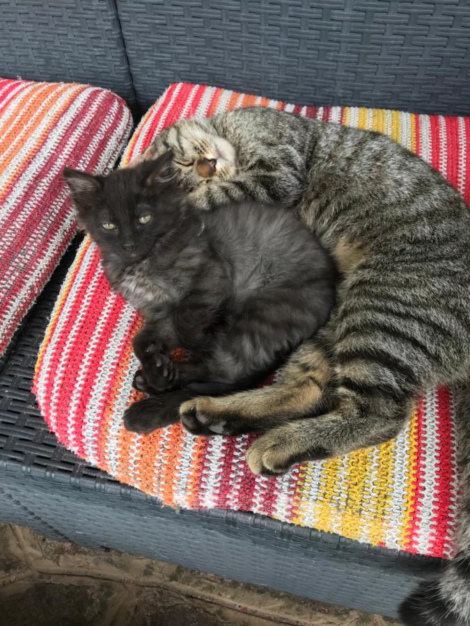"Ai 4 Soli" Cermenate Extérieur photo