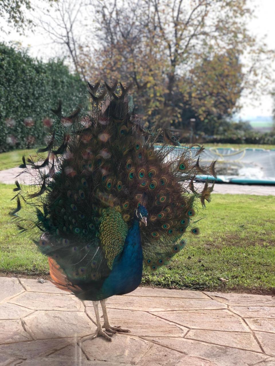 "Ai 4 Soli" Cermenate Extérieur photo