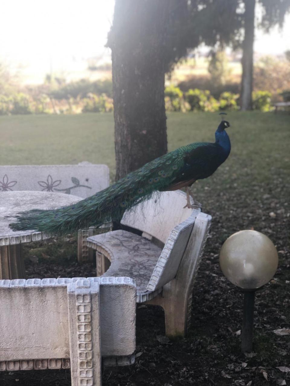 "Ai 4 Soli" Cermenate Extérieur photo